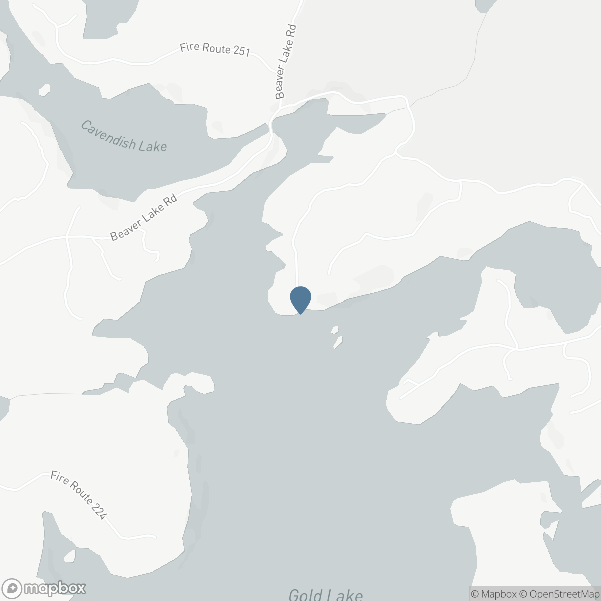 119 FIRE ROUTE 242, North Kawartha, Ontario K0L 1J0